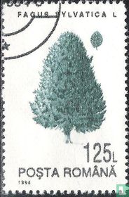 Trees  