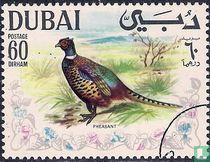 Oiseaux