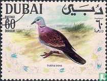 Oiseaux acheter