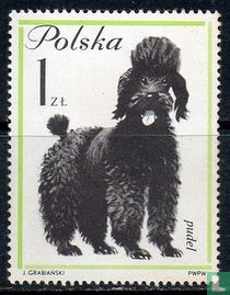 Hunde kaufen
