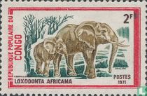 Wild animals