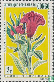Tropische bloemen kopen