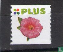 Plus Beetpflanzen Stempel (Blumen)