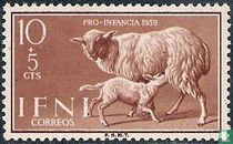 Mouton agneau