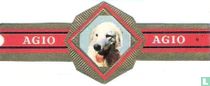 [Kuvasz]