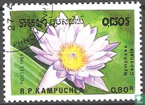 Nénuphars