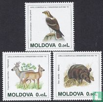 European Conservation Year