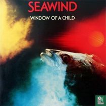 Window of a Child