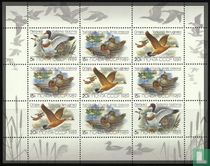 Canards