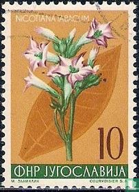 Fleurs
