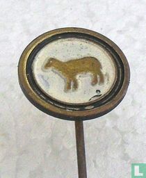 Schaap