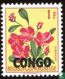 Fleurs 