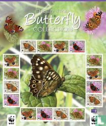 Butterflies