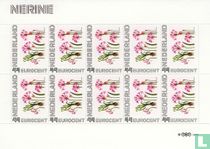 Janneke Brinkman - Nerine