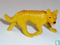 Dingo
