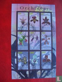 orchids for sale