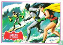 Surfing Sleuths