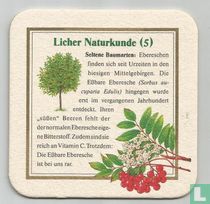 Licher Naturkunde(5) Aus dem Herzen