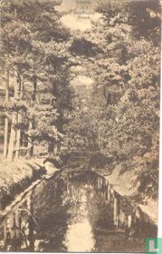 Baarn In 't Baarnsche Bosch