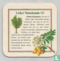 Licher Naturkunde (1) Aus dem Herzen