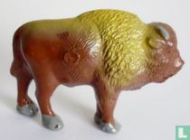 Bison