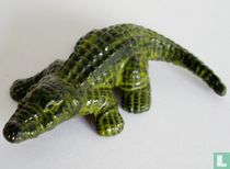 Crocodile