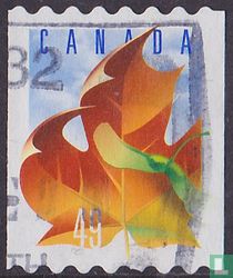 Feuille d'érable 