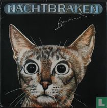 Nachtbraken