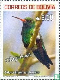 Vögel aus Chuquisaca
