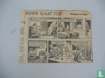 Hawk Strikes