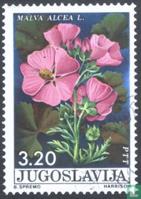 Fleurs