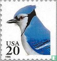 Oiseau