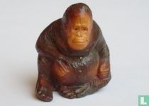 Orangutan