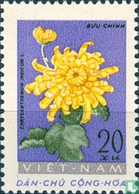 Bloemen