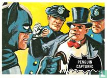 Penguin Captured