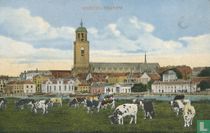 Deventer Panorama