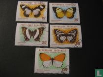Schmetterlinge kaufen
