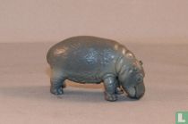Baby Hippo