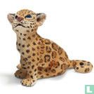Baby Jaguar