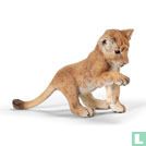 Lion cub playing