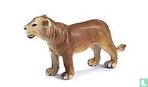 Lioness standing