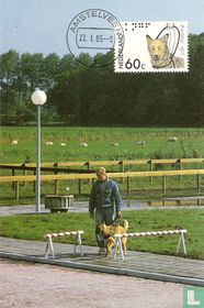 Geleidehondenfonds