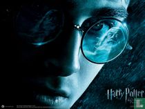 Harry Potter trading cards catalogus