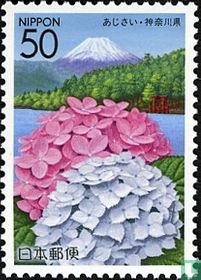 Flowers from Kanagawa for sale