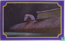 Ratatouille