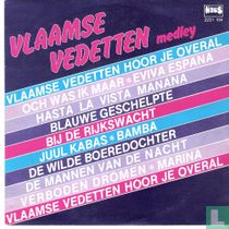 Vlaamse vedettenmedley