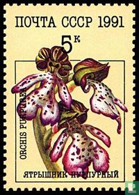 Orchidées