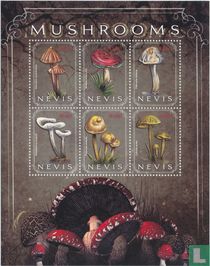 Champignons