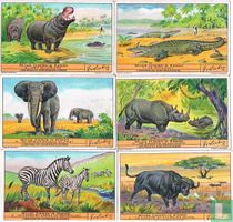 WILDE DIEREN IN KONGO 1-12