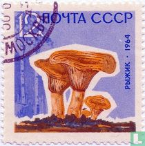 Mushrooms